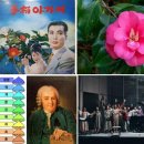 국제카클리닉 이미지