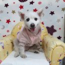 소답동165 이미지