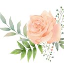 힐스테이펜션 이미지