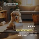 신도림S동물의료센터 | 13살 노령견 신도림S동물병원에서 허벅지 종괴, 비장종양 전적출 수술