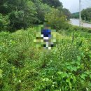 무주장의사 이미지