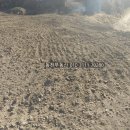 구산면585 이미지