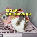 한솔서울치과 | [토끼 눈병] 눈 밑이 항상 젖어 있는 이유, 토끼 비루관 막힘 개통술 후기