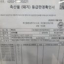 돈대패 - 서구 | 돈대패