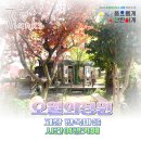 콩가듀에 이미지