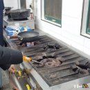 꽃지 휴펜션 이미지