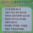 퀸즈헤나교실