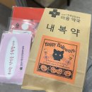 인성장애인복지관 | FUNFUN 인성페스티벌·진로 어드벤처 프로그램 체험후기