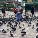 케이브몰 이미지