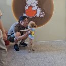 동그라개 이미지