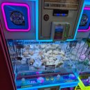 Mini Doll Premium Gacha Shop 이미지