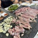 오리명가 고향정 - 남구 야음동 | 오리명가 고향정
