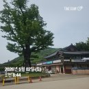 미니돌 | 부산 금정산 최단코스 등산 후기 - 금정산 등산코스 추천│소요시간, 난이도(범어사-북문-고당봉-북문...