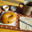 완도네시아 이미지