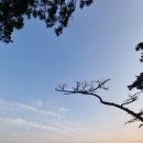 항도야영장 이미지