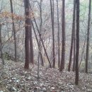 심천농장 Daum카페