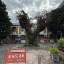 112901-사001-1 | taipei , 001