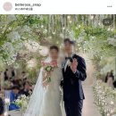 폰짝꿍 | W6. 부산 화이트홀 아아폰스냅 벨로즈스냅 계약 후기 (+짝꿍코드 할인)