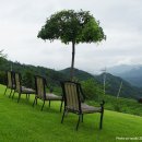 구름위의산책 이미지