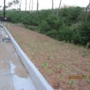 옥동교차로 부근 이미지