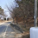 근흥초등학교 이미지