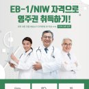 비자플래너