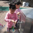 플레이아트 이미지