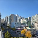 못골사거리 이미지