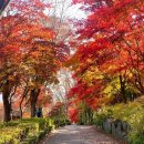 남천안IC(조치원) 이미지