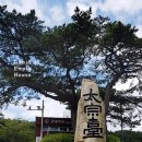 삼오돼지국밥 이미지