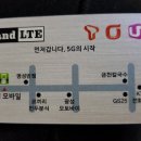 페리카나치킨경포대점