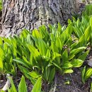 기명농장 이미지