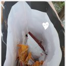 세븐일레븐 아산염치송곡점 이미지