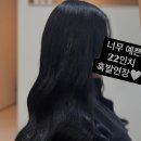 붙임머리,다채