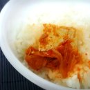 단골참치 네이버블로그