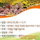 2012 대자연에 펼쳐진 고창국화축제. ( 2012.10.26 ~ 2012.11.11 ) 이미지