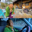 200년 된 팔랑마을 억새집에는 76살 소녀가 산다 이미지