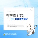 더오래 동물병원 | [일산동 더오래동물병원] 캠핑 다녀온 뒤 전신에서 진드기가 발견된 4살 말티푸 케이스