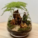 서대문구재활용센터 | [육아 놀이] 아임텐DIY 테라리움키트 체험 후기, 쪼꼬미와 함께하는 힐링의 시간 테라리움만들기