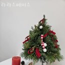 시흥동꽃집 라라스페이스 가격 위치 영업시간