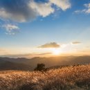 민둥산운동장 1 이미지