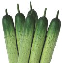 ㈜ 농우바이오 이미지