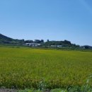 월산로30번길 이미지