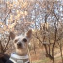 다정하고 맛있개 이미지