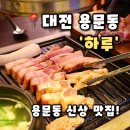 4697 | [하루] 대전 용문동 신상맛집 롯데백화점 근처 구워주는 고깃집 추천,하루 후기(내돈내산)
