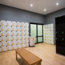 신협헬스타운 | 제주도헬스장 신협헬스타운 가격 위치 후기