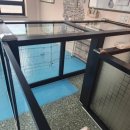 애견훈련소 보담 이미지