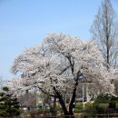 운천저수지 이미지