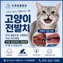 두류동물병원 네이버블로그