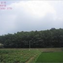 질가마골 이미지